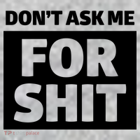 Don’t Ask Me For Shit Kids T-Shirt thumb 2