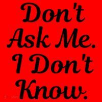 Don't Ask Me I Don't Know Funny Mom Gift Santa Hat thumb 1