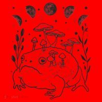 Dark Academia Moon Witchy Goblincore Aesthetic Frog Santa Hat thumb 1
