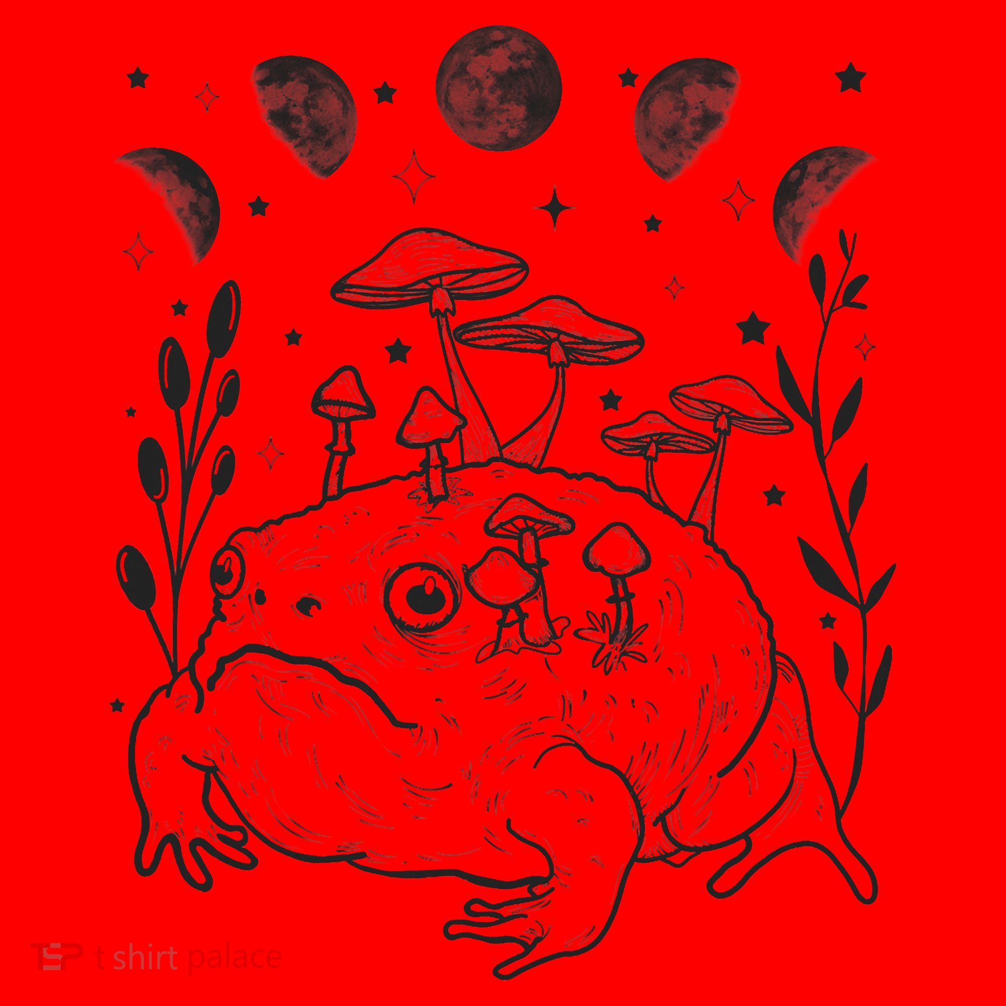 Dark Academia Moon Witchy Goblincore Aesthetic Frog Santa Hat