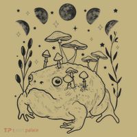 Dark Academia Moon Witchy Goblincore Aesthetic Frog T-Shirt thumb 7