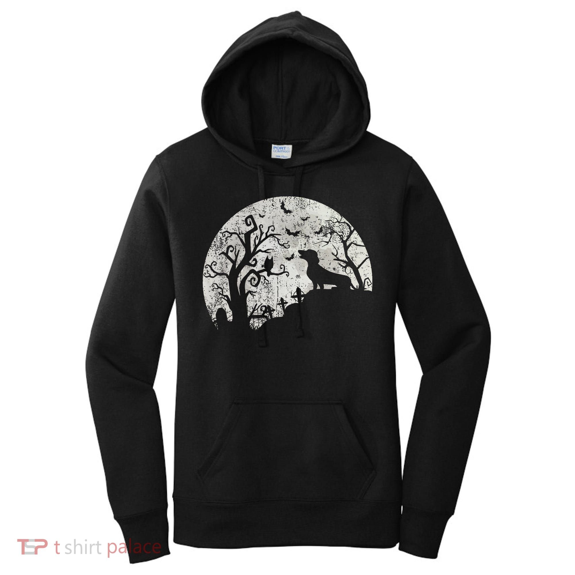 Dachshund And Moon Halloween Dachshund Lovers Pet Owner Women's Hoodie