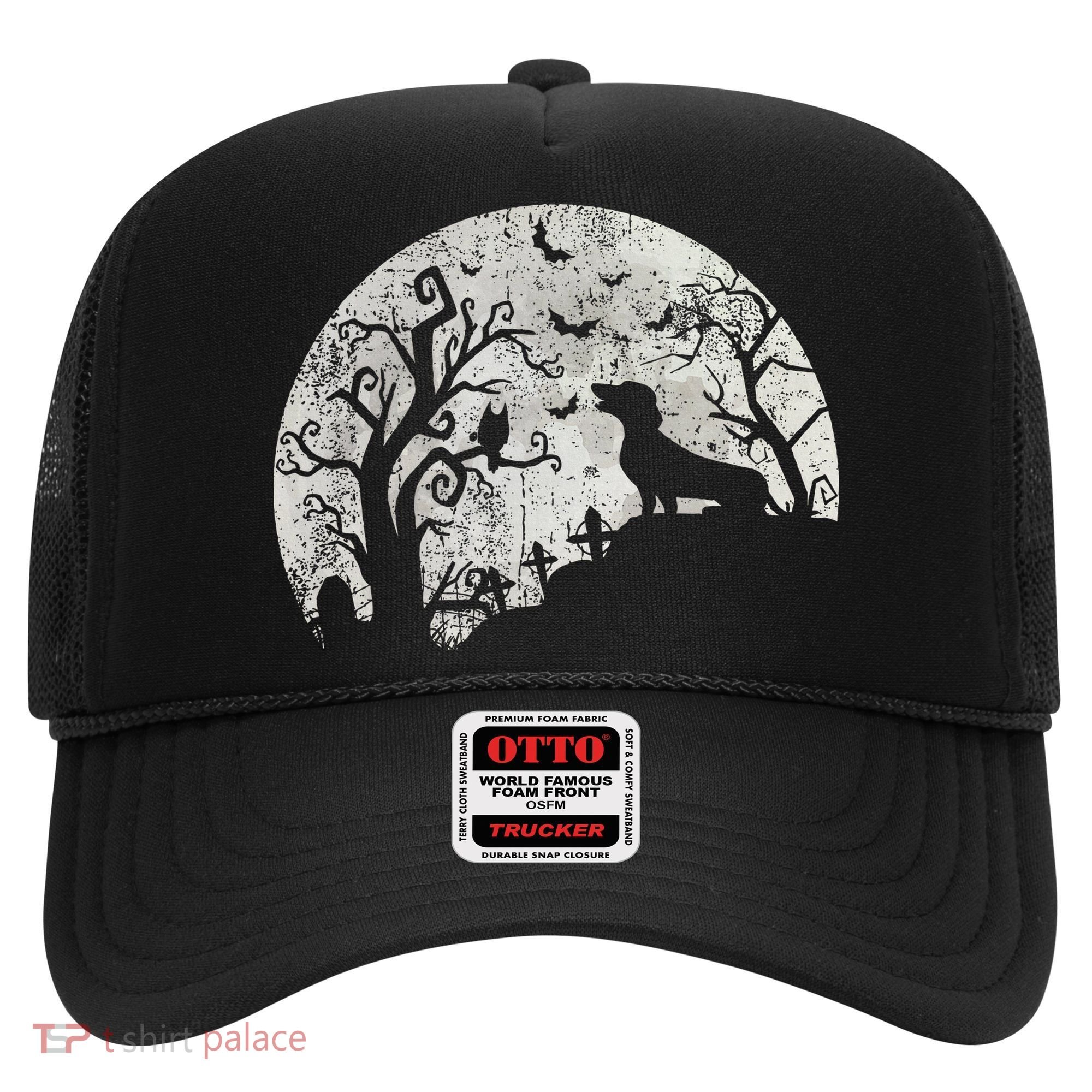 Dachshund And Moon Halloween Dachshund Lovers Pet Owner Hat