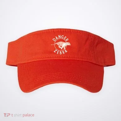 Visor