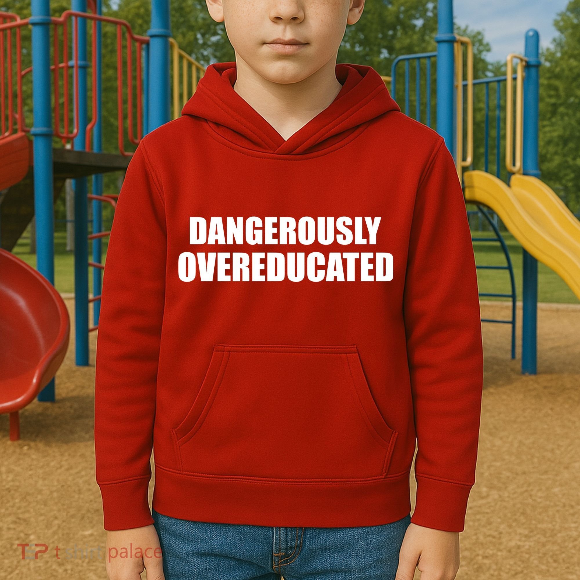 Dangerously Overeducated Kids Hoodie