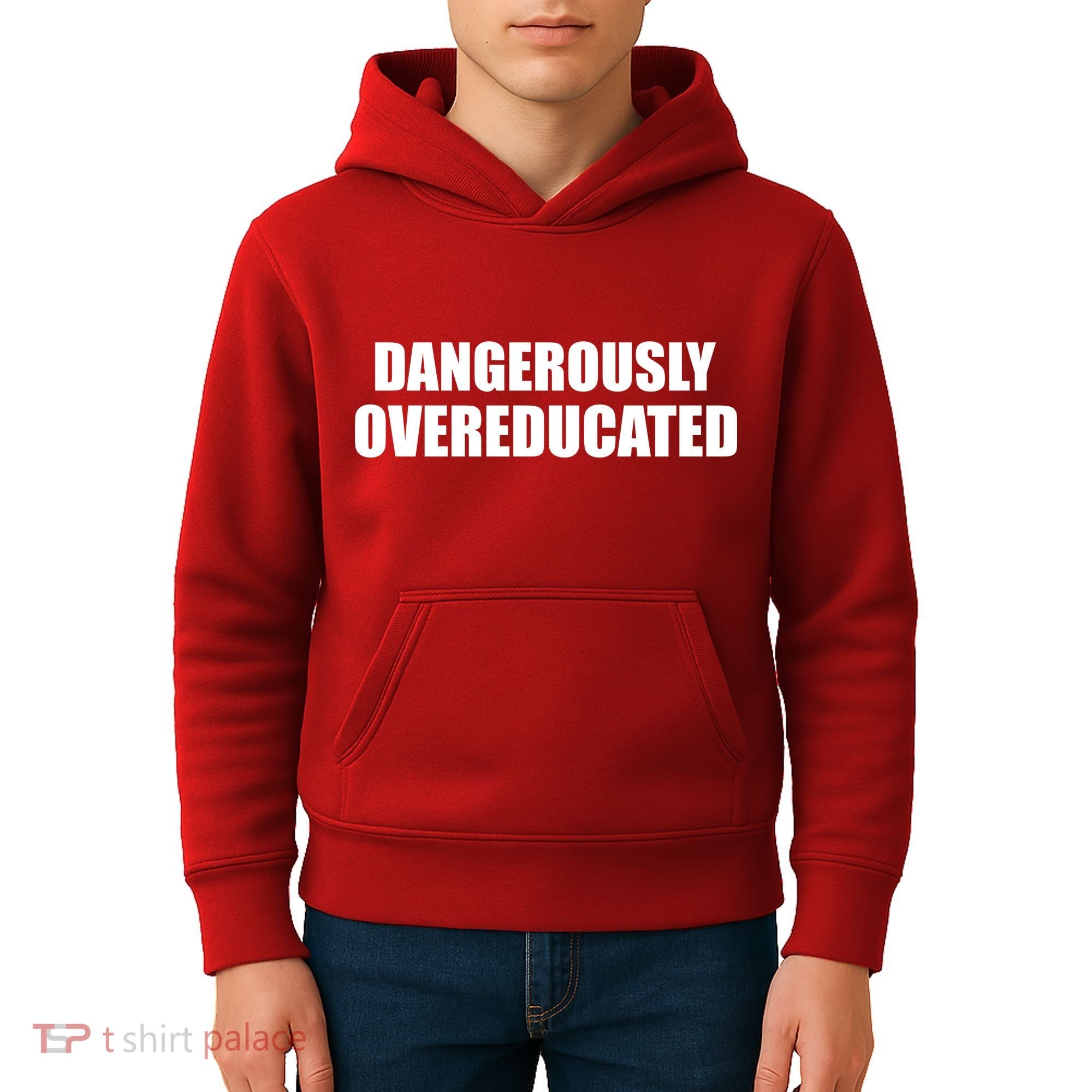Dangerously Overeducated Kids Hoodie
