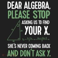 Dear Algebra Stop Asking Me To Find Your X Maths Joke Gift Beanie thumb 2