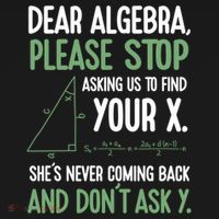 Dear Algebra Stop Asking Me To Find Your X Maths Joke Gift Pajama Set thumb 2