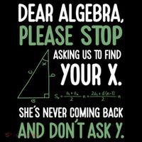 Dear Algebra Stop Asking Me To Find Your X Maths Joke Gift Ornament thumb 1