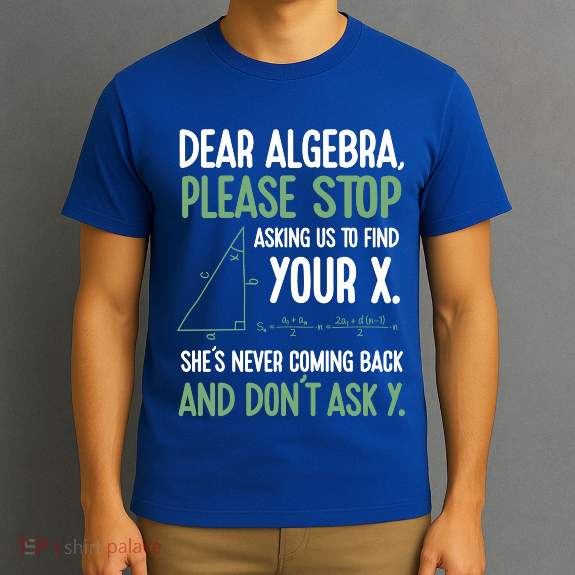 Dear Algebra Stop Asking Me To Find Your X Maths Joke Gift T-Shirt