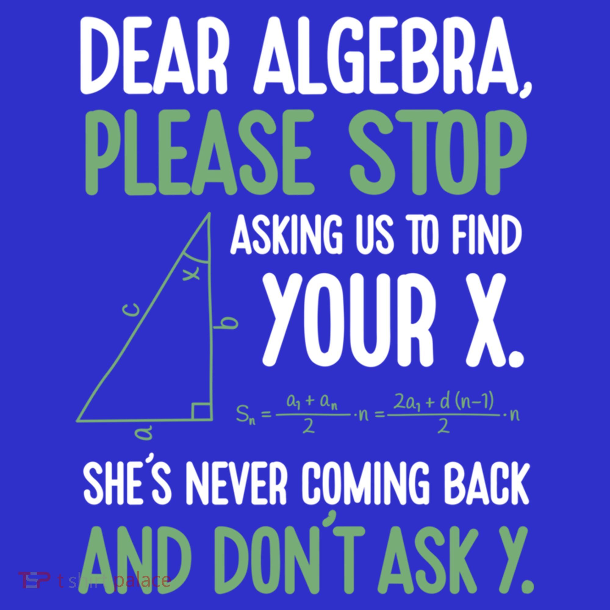 Dear Algebra Stop Asking Me To Find Your X Maths Joke Gift T-Shirt