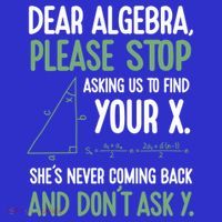 Dear Algebra Stop Asking Me To Find Your X Maths Joke Gift Toddler Hoodie thumb 2