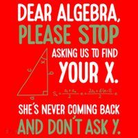 Dear Algebra Stop Asking Me To Find Your X Maths Joke Gift Santa Hat thumb 1