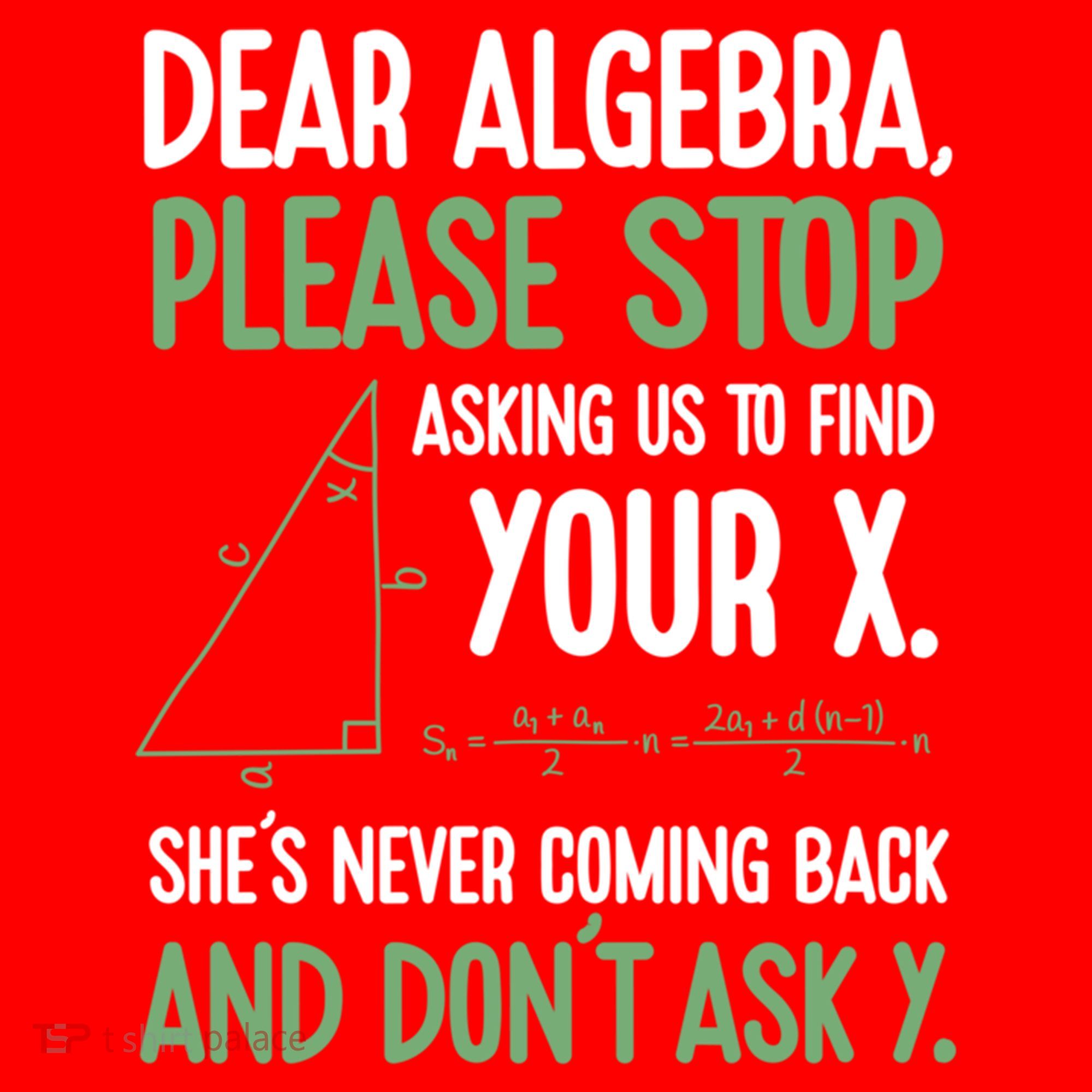 Dear Algebra Stop Asking Me To Find Your X Maths Joke Gift Santa Hat