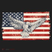 Distressed American USA Flag Eagle Women's Sweatshirt thumb 2