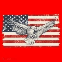 Distressed American USA Flag Eagle Santa Hat thumb 1