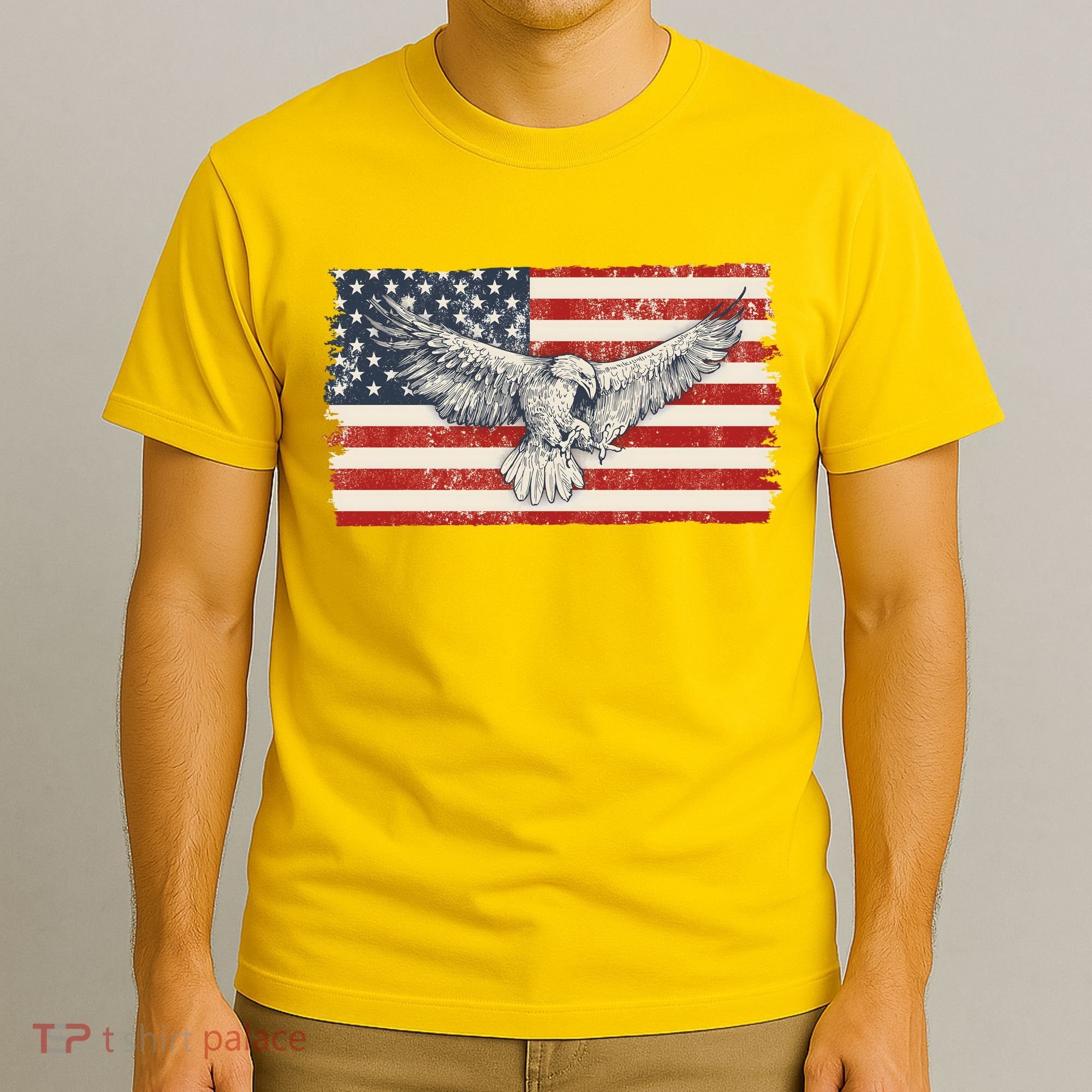 Distressed American USA Flag Eagle T-Shirt