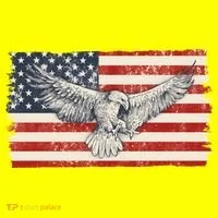 Distressed American USA Flag Eagle Kids Long Sleeve Shirt thumb 2