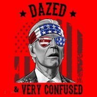 Dazed And Very Confused Biden Funny 4th Of July Santa Hat thumb 1