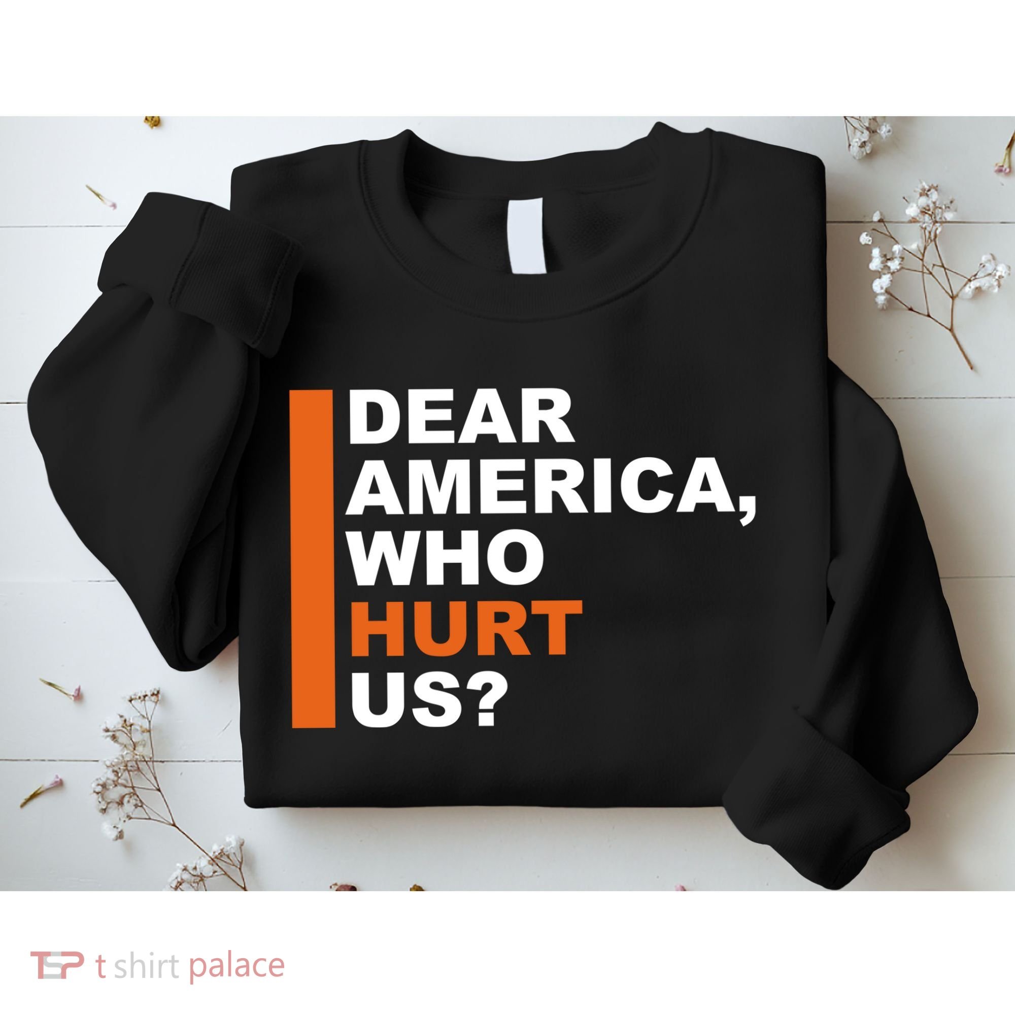 Dear America Who Hurt Us Sweatshirt