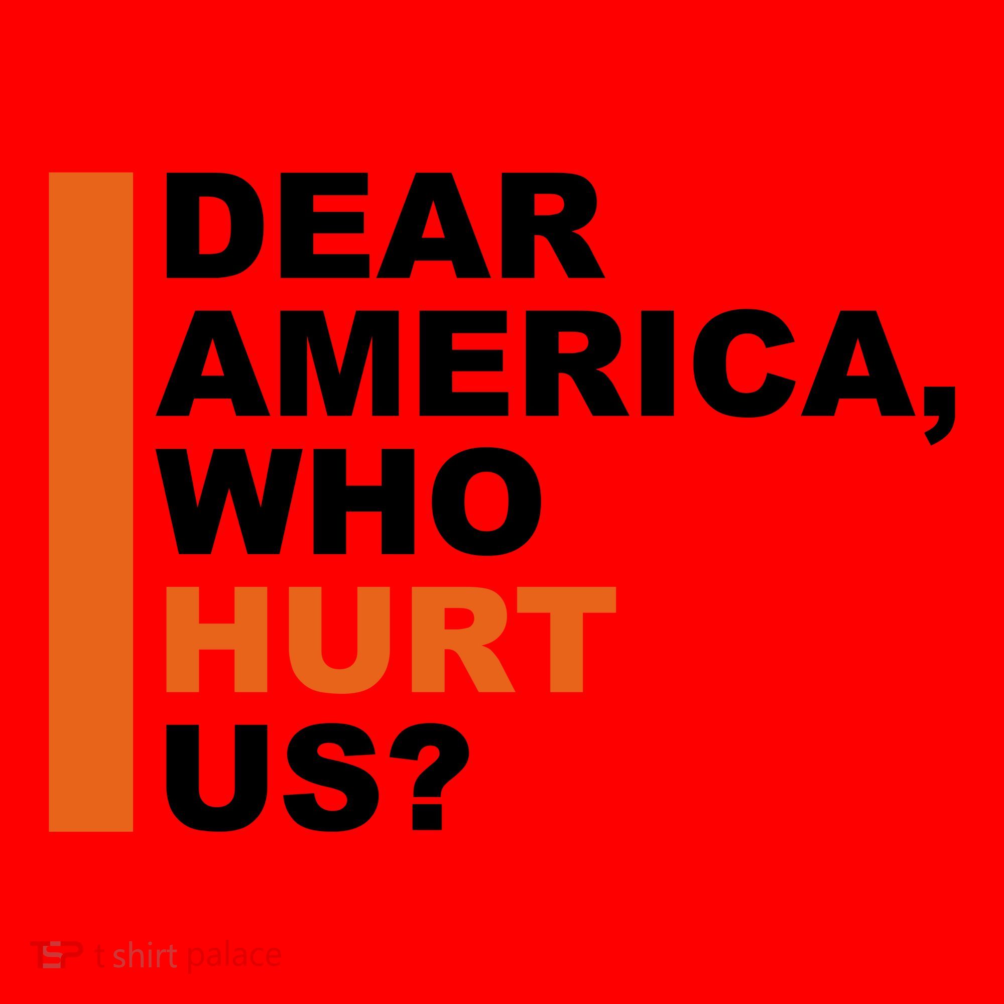 Dear America Who Hurt Us Santa Hat