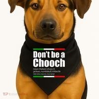 Dont Be A Chooch Italian Slang Funny Saying English Meaning USA-Made Doggie Bandana thumb 1