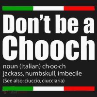 Dont Be A Chooch Italian Slang Funny Saying English Meaning Women's Hoodie thumb 2