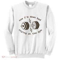 Down Bad Crying At The Gym Sweatshirt thumb 0