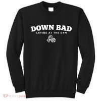 Down Bad Crying At The Gym Sweatshirt thumb 0