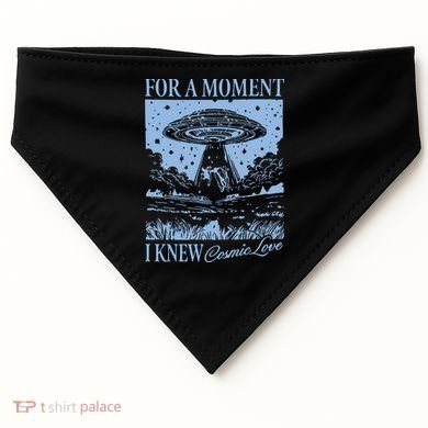 Down Bad Cosmic Love The Tortured Poets USA-Made Doggie Bandana