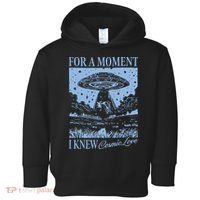 Down Bad Cosmic Love The Tortured Poets Toddler Hoodie thumb 0