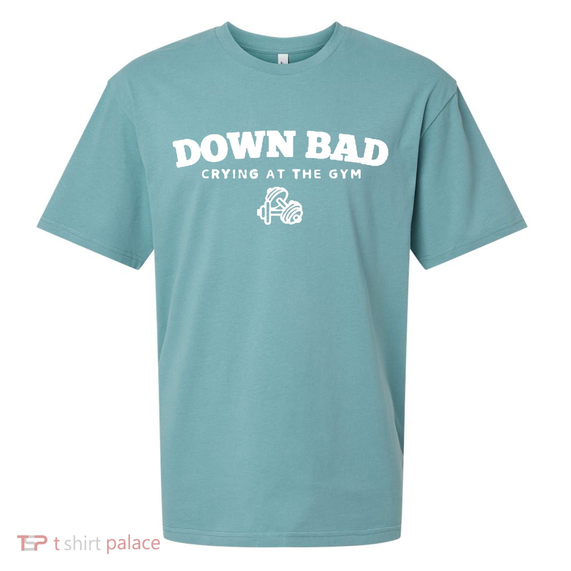 Down Bad Crying At The Gym Sueded Cloud Jersey T-Shirt
