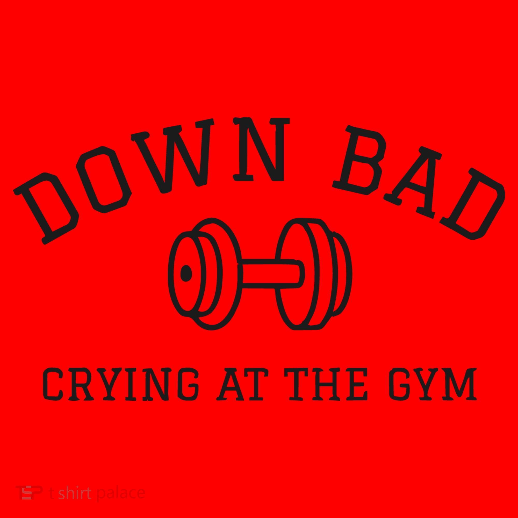 Down Bad Crying At The Gym Ttpd Santa Hat
