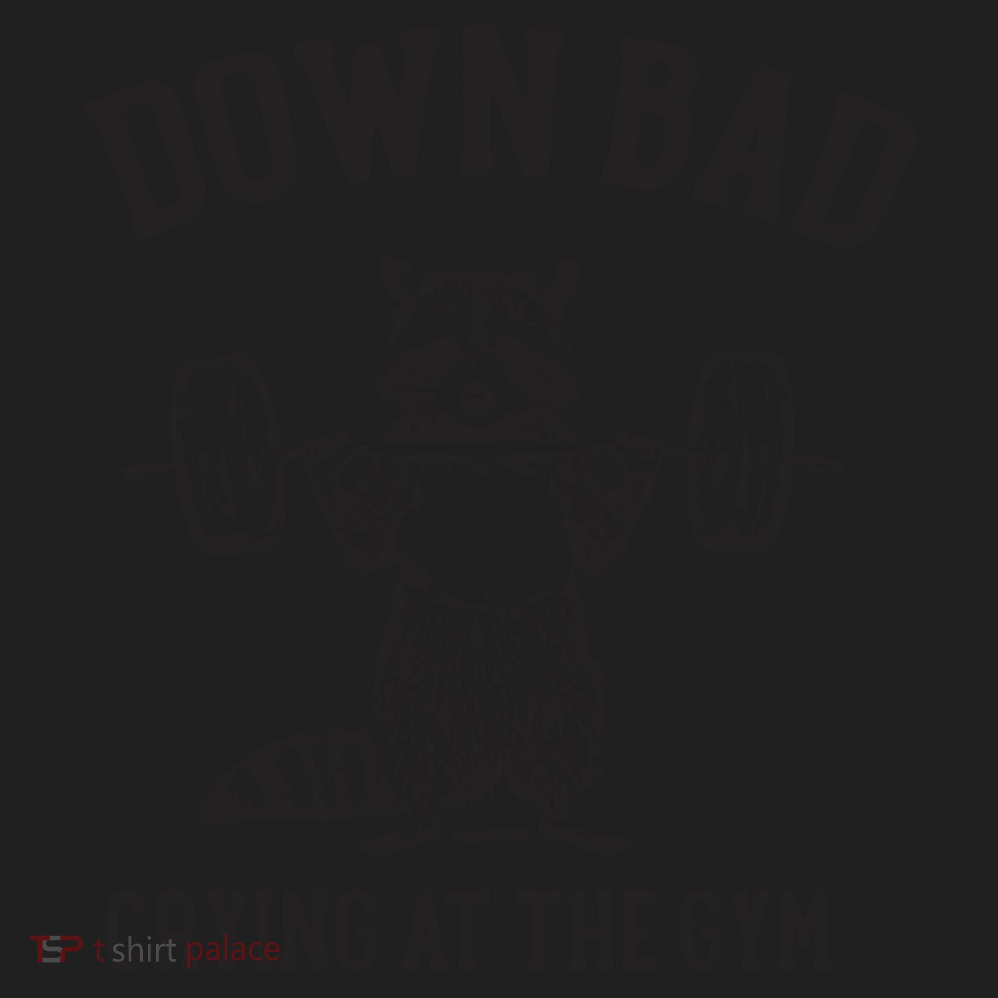 Down Bad Crying At The Gym Racoon Meme Ttpd Women's Sweatshirt