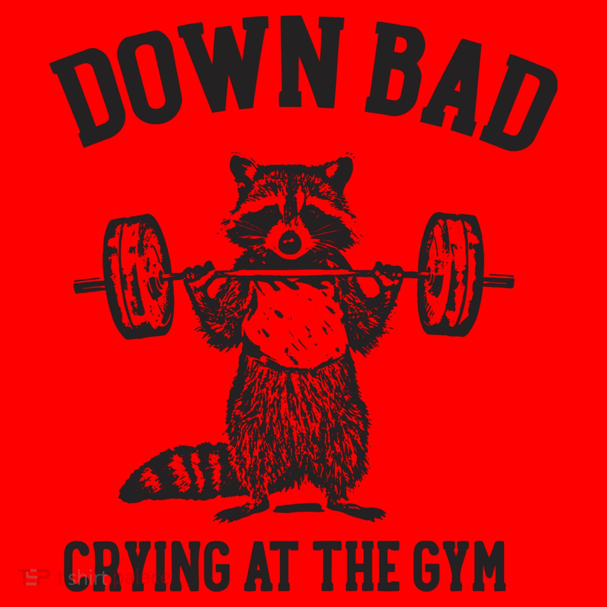 Down Bad Crying At The Gym Racoon Meme Ttpd Santa Hat