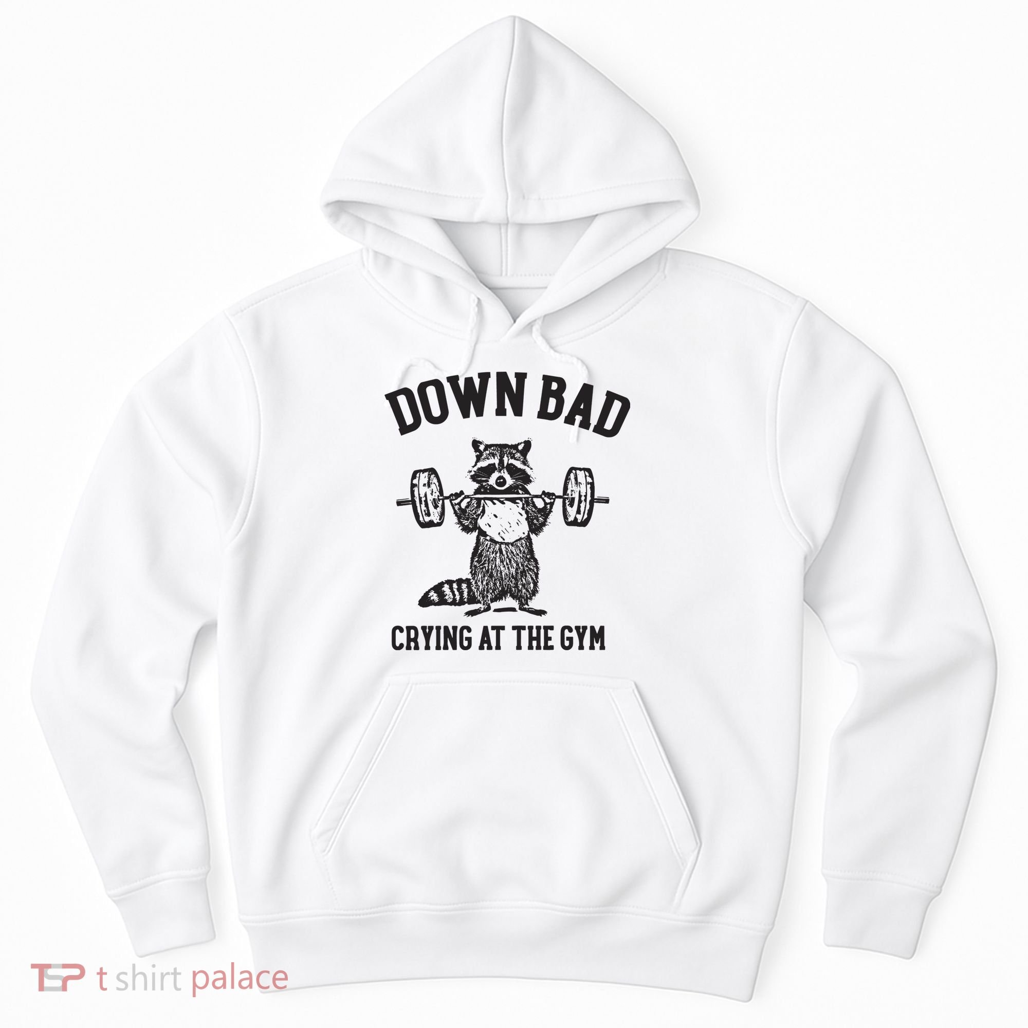 Down Bad Crying At The Gym Racoon Meme Ttpd Hoodie