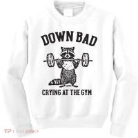 Down Bad Crying At The Gym Racoon Meme Ttpd Kids Sweatshirt thumb 0