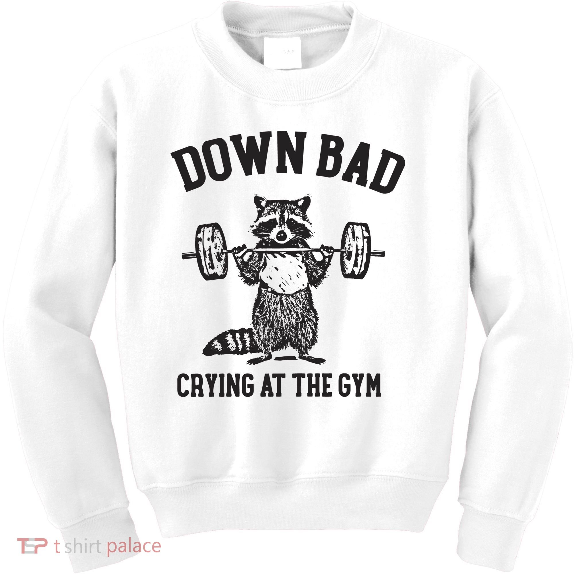 Down Bad Crying At The Gym Racoon Meme Ttpd Kids Sweatshirt
