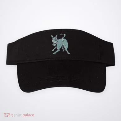 Visor