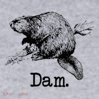 Dam Beaver Women's Sweatshirt thumb 2