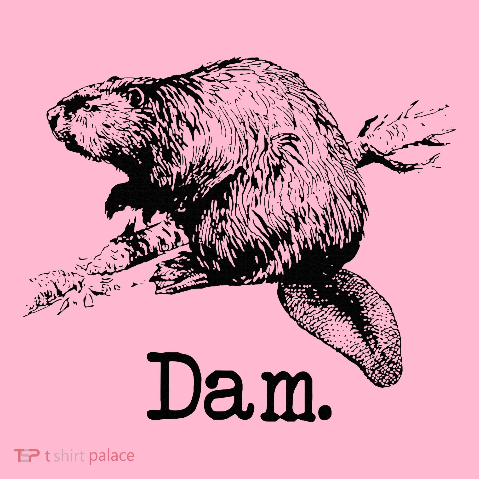 Dam Beaver Coaster