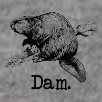 Dam Beaver Toddler Hoodie thumb 2
