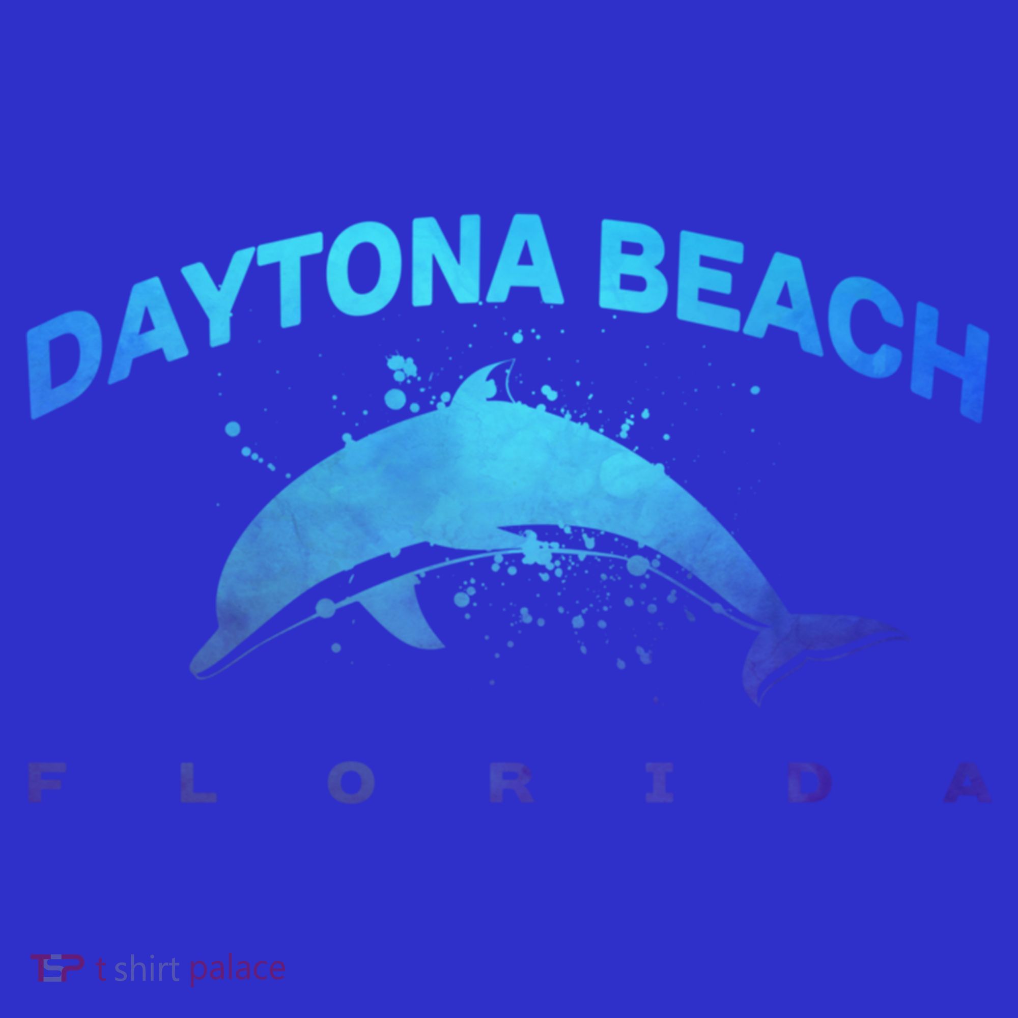 Daytona Beach Florida Dolphin Lover Spring Break Vacation Meaningful Gift Women's Long Sleeve Shirt