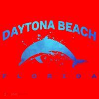 Daytona Beach Florida Dolphin Lover Spring Break Vacation Meaningful Gift Santa Hat thumb 1