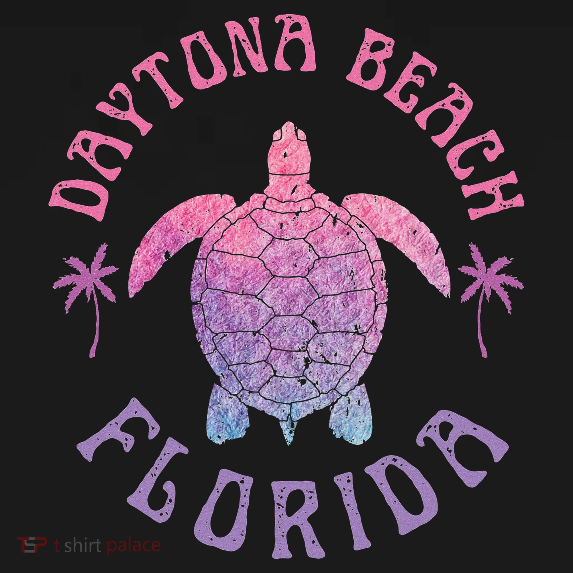 Daytona Beach Florida Sea Turtle Summer Vacation Women's Hoodie