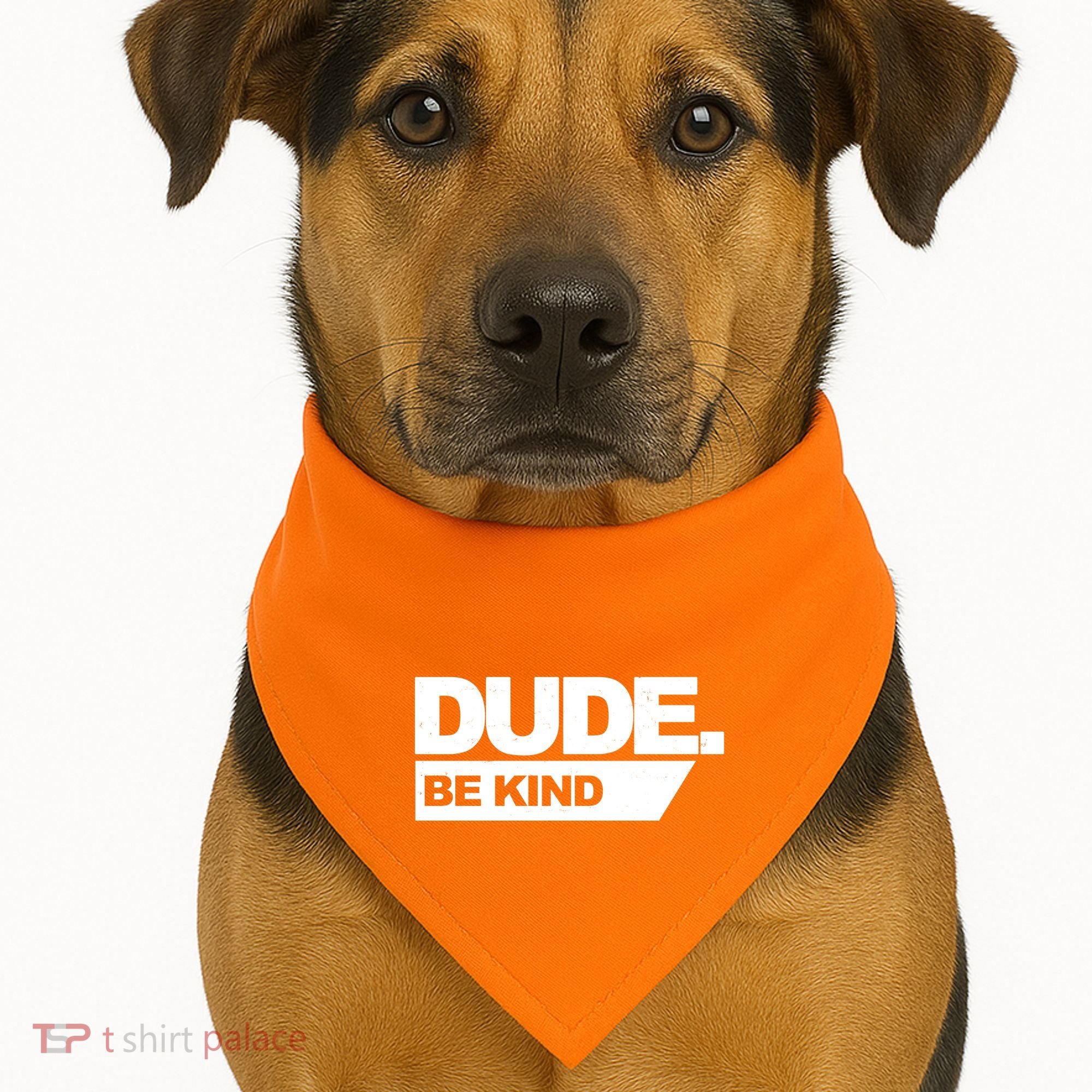 Dude Be Kind Anti Bullying USA-Made Doggie Bandana