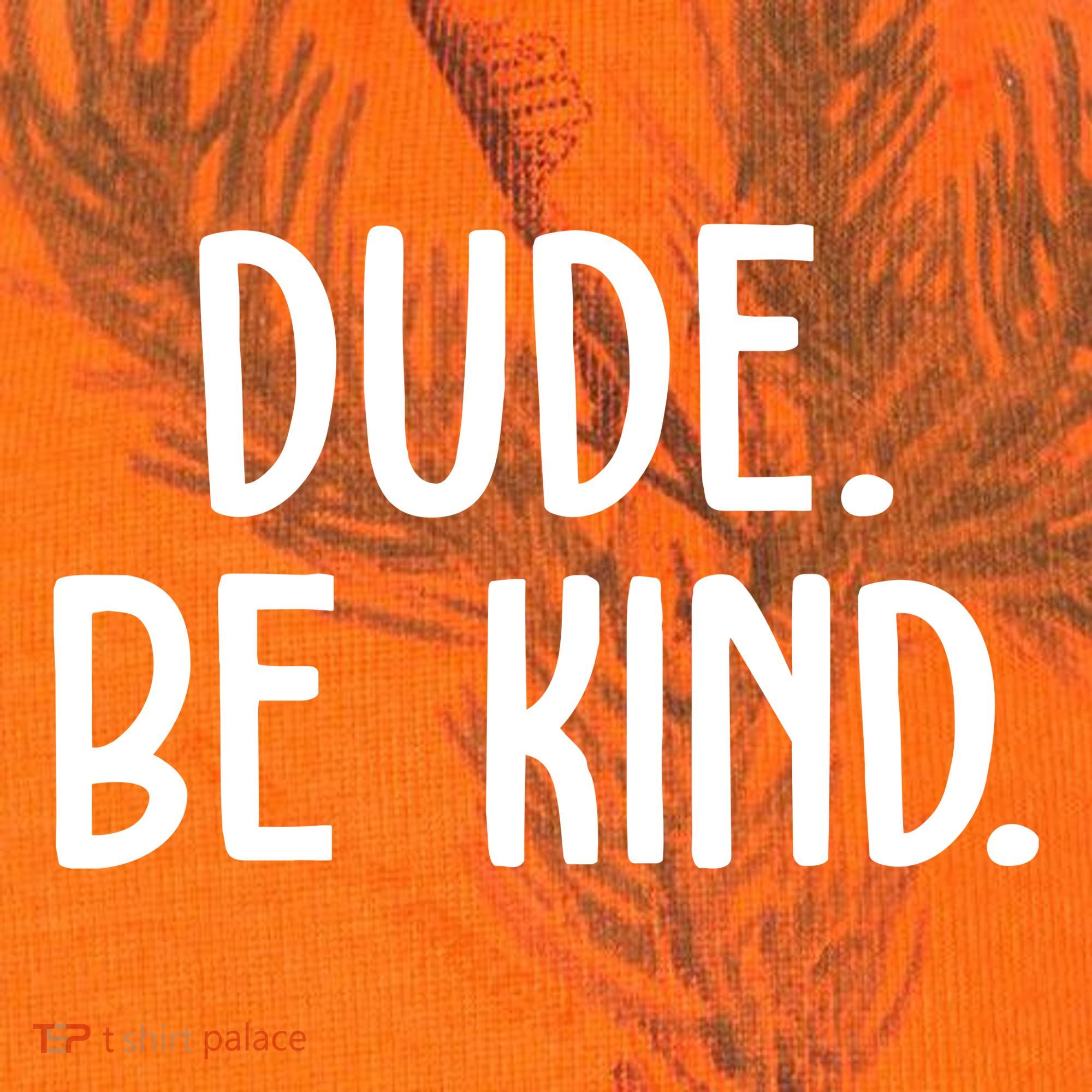 Dude Be Kind Anti Bully Kati Licensed 12" Camo Cuffed Beanie