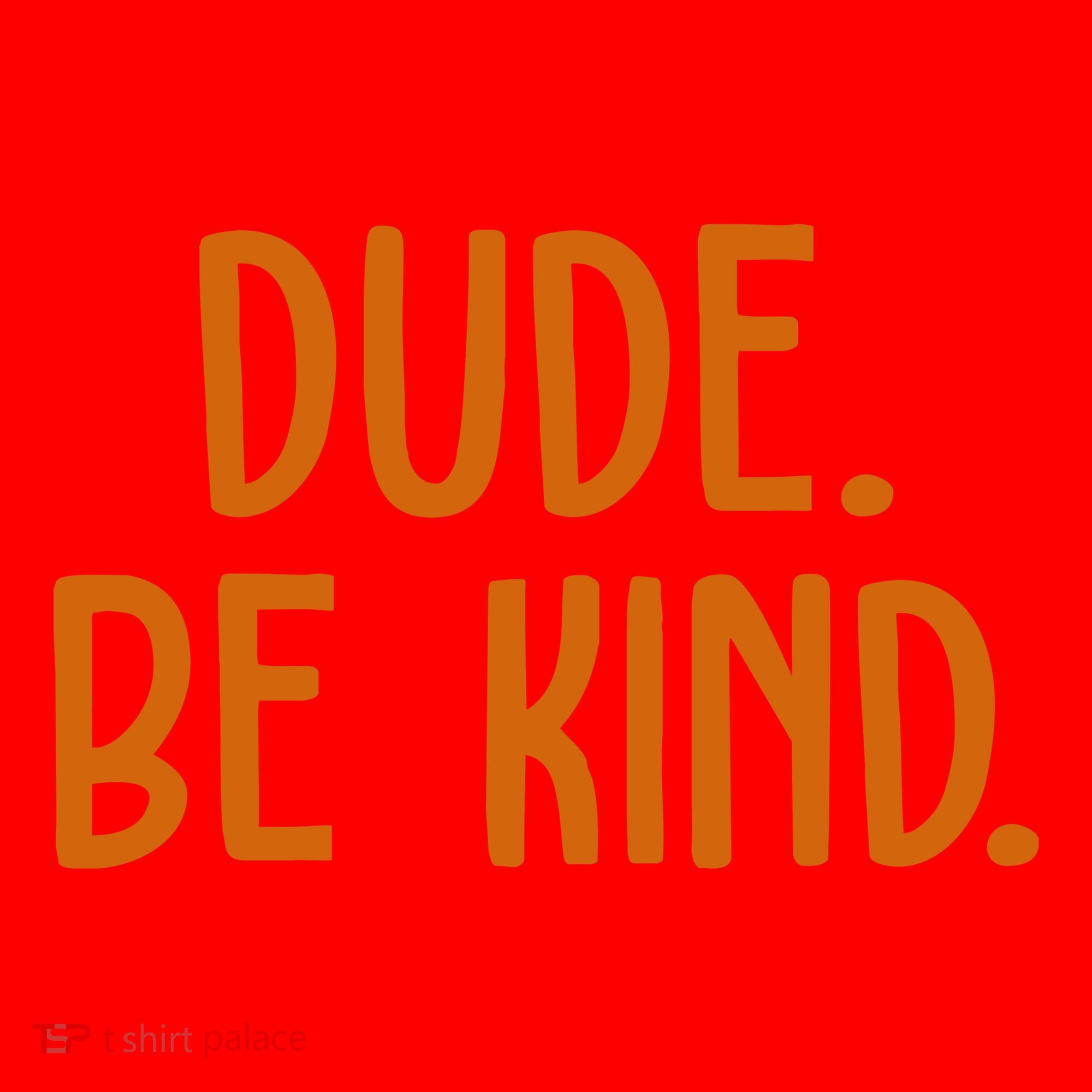 Dude Be Kind Anti Bully Santa Hat