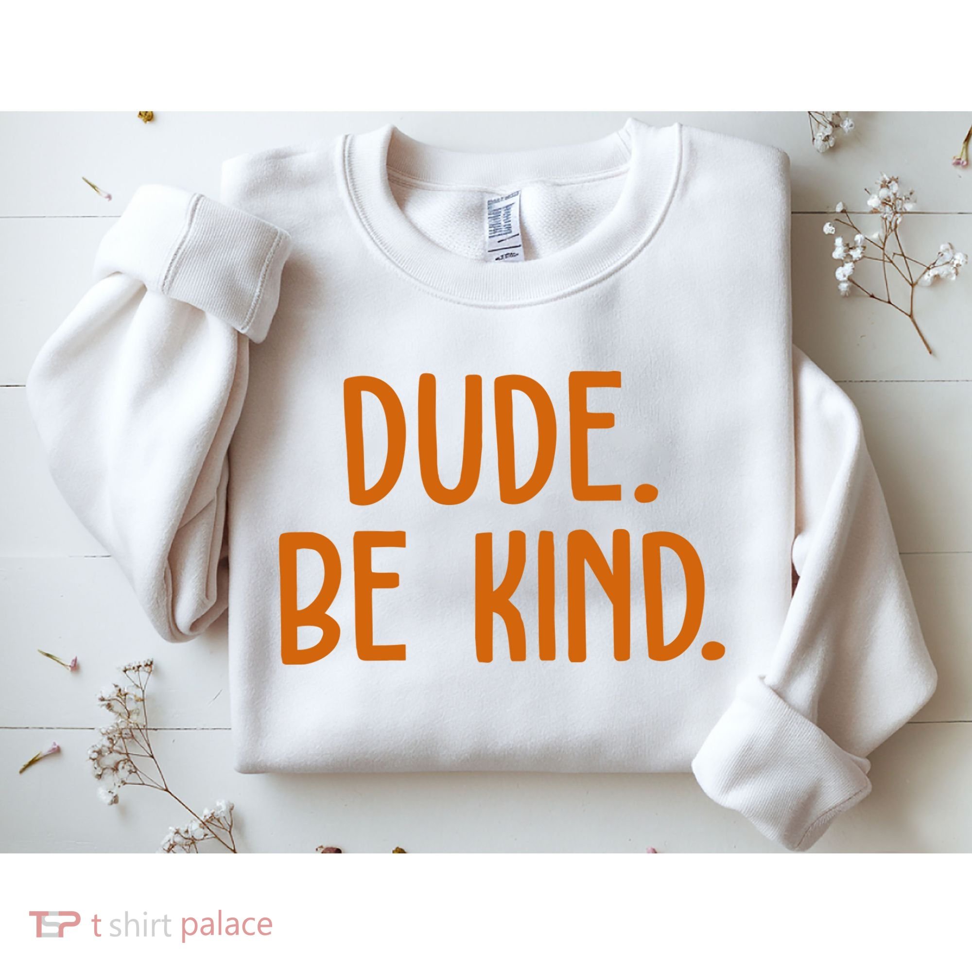 Dude Be Kind Anti Bully Sweatshirt