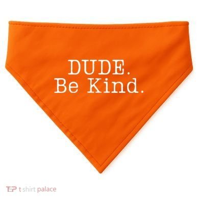 Dude Be Kind Every Child Matters USA-Made Doggie Bandana